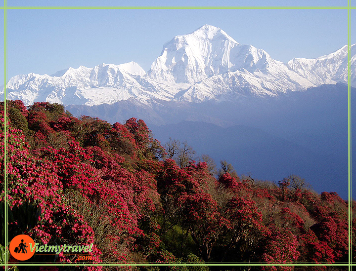 du lịch Nepal